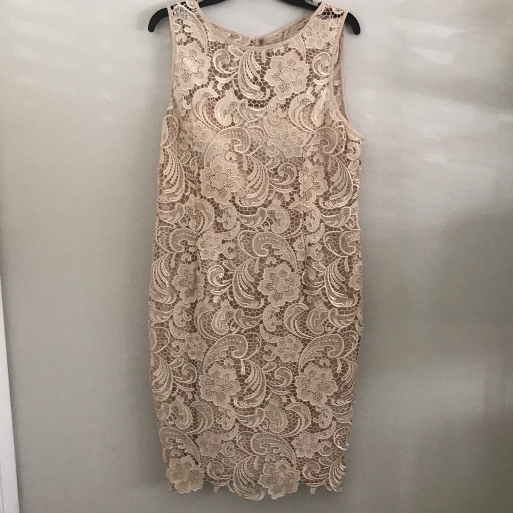 Adrianna Papell Champagne Lace Cocktail Dress